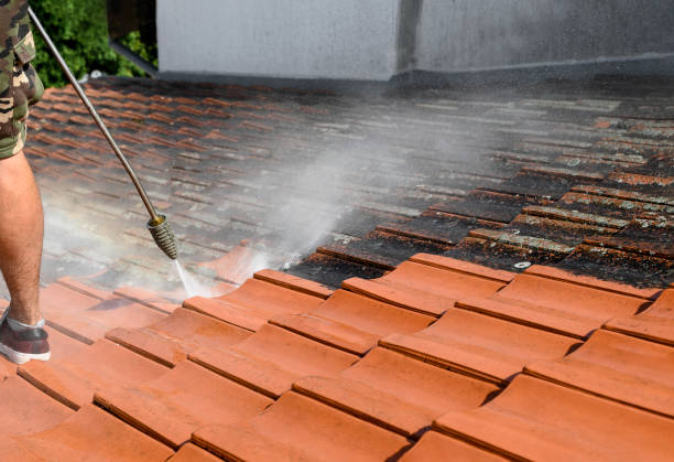Best House Pressure Washing  in Oak Harbor, OH