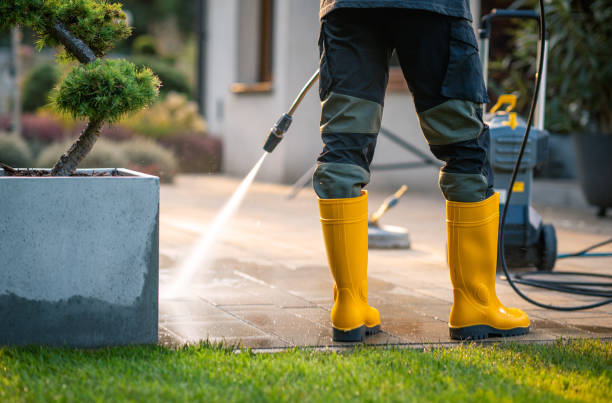 Best Exterior Home Cleaning  in Oak Harbor, OH